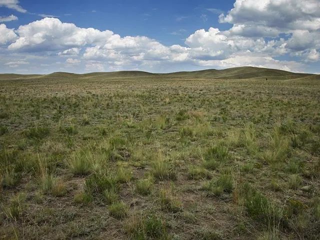 Decorative background for Near Hunting and Fishing image 7