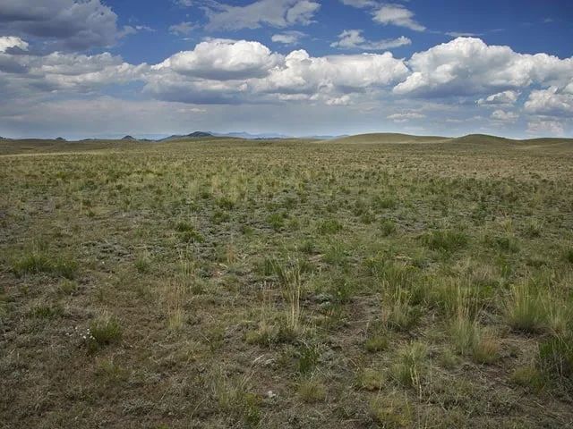 Decorative background for Near Hunting and Fishing image 8