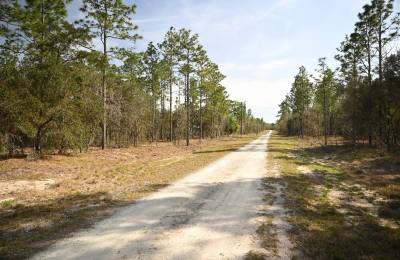 Mostly Wooded Property, Easy Access