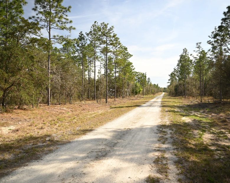 Mostly Wooded Property, Easy Access in Levy County, FL