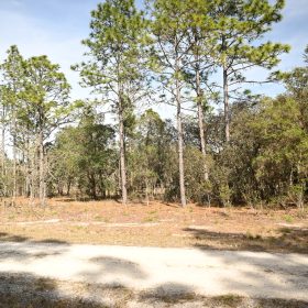 Mostly Wooded Property, Easy Access in Levy County, FL