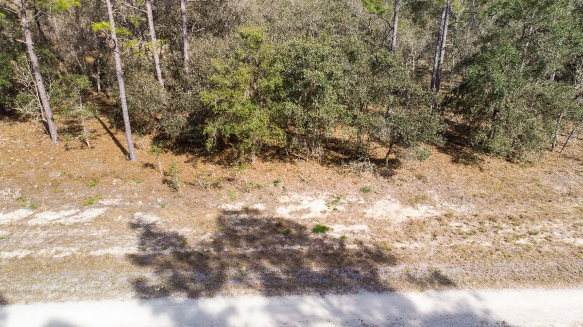 Decorative background for Mostly Wooded Property, Easy Access image 6
