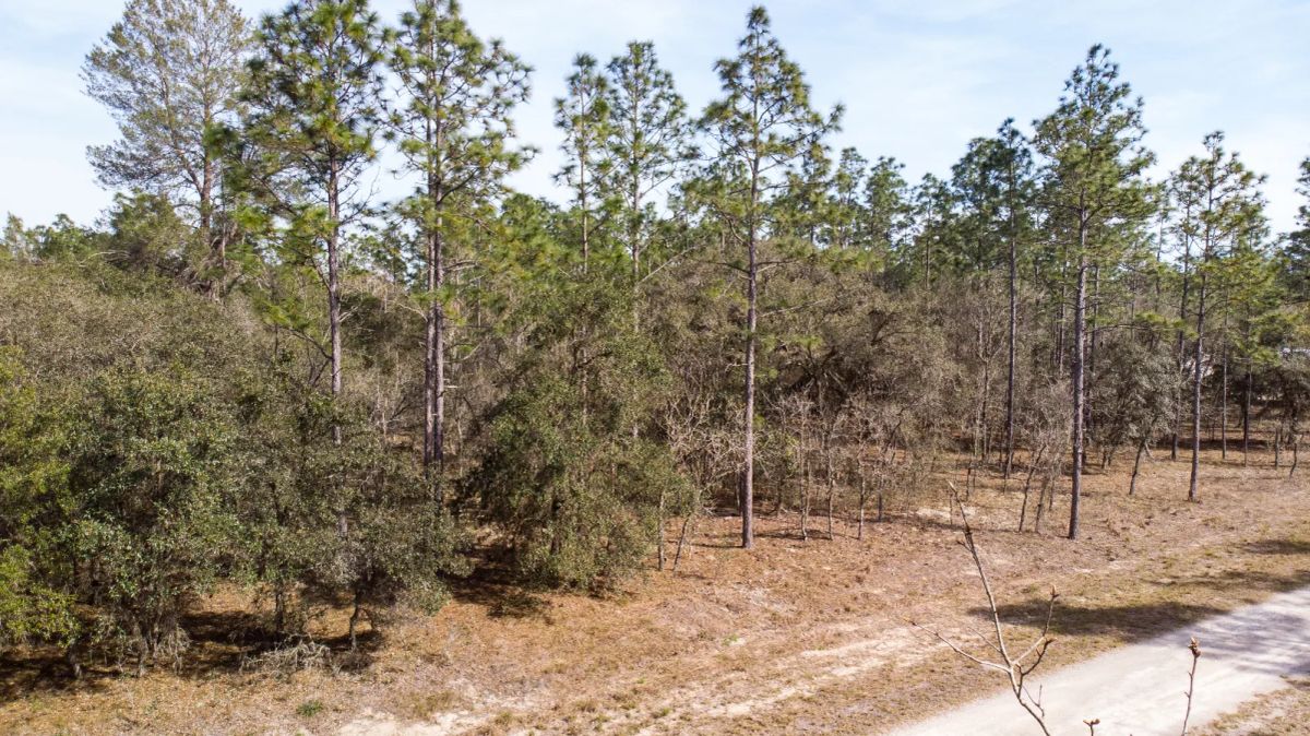 Decorative background for Mostly Wooded Property, Easy Access image 7