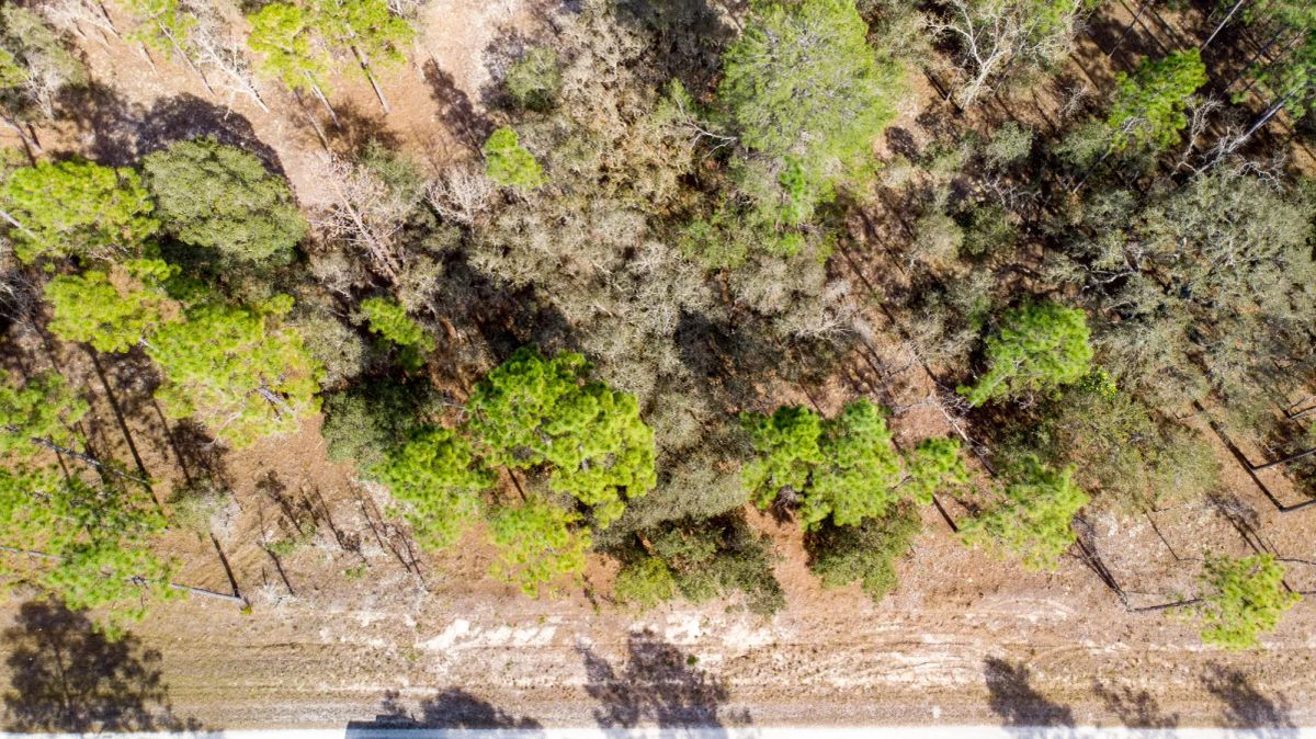 Decorative background for Mostly Wooded Property, Easy Access image 9