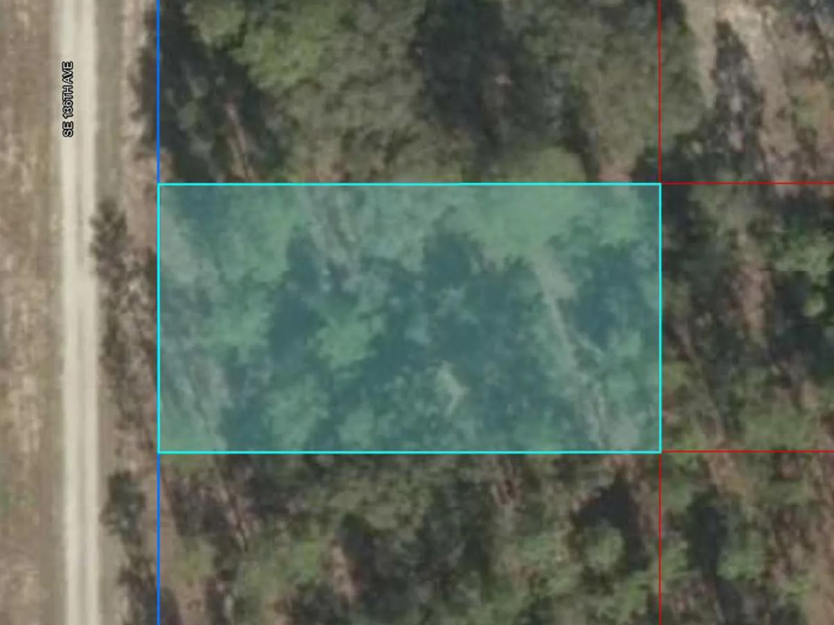 Decorative background for Mostly Wooded Property, Easy Access image 11