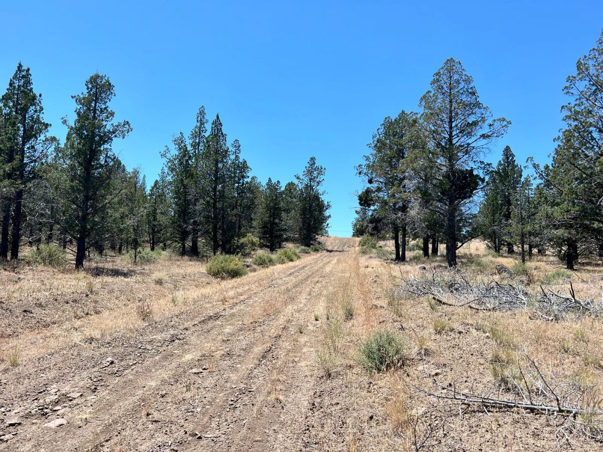 Secluded, Mostly Level - Main image