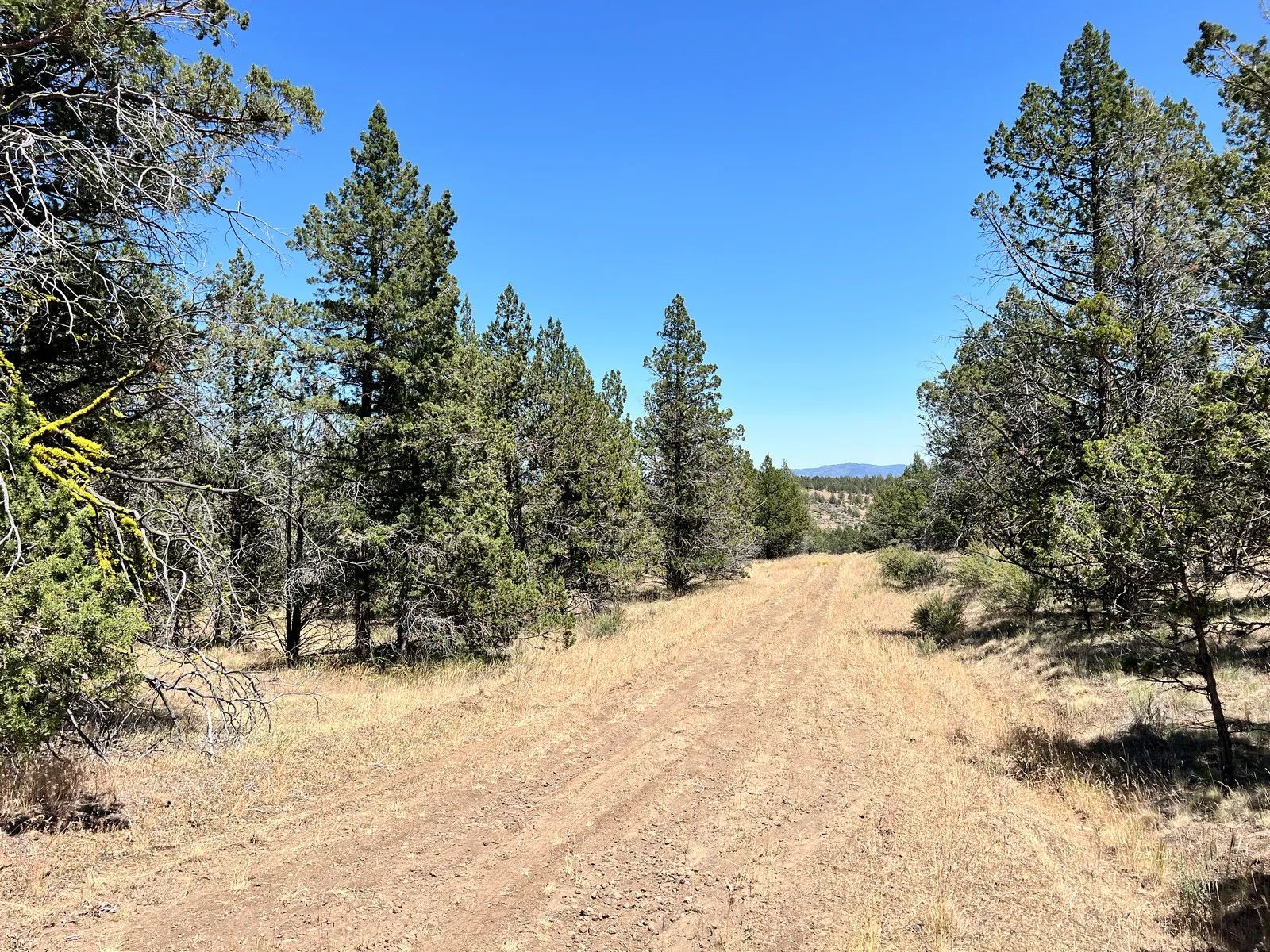 Secluded, Mostly Level in Modoc County, CA