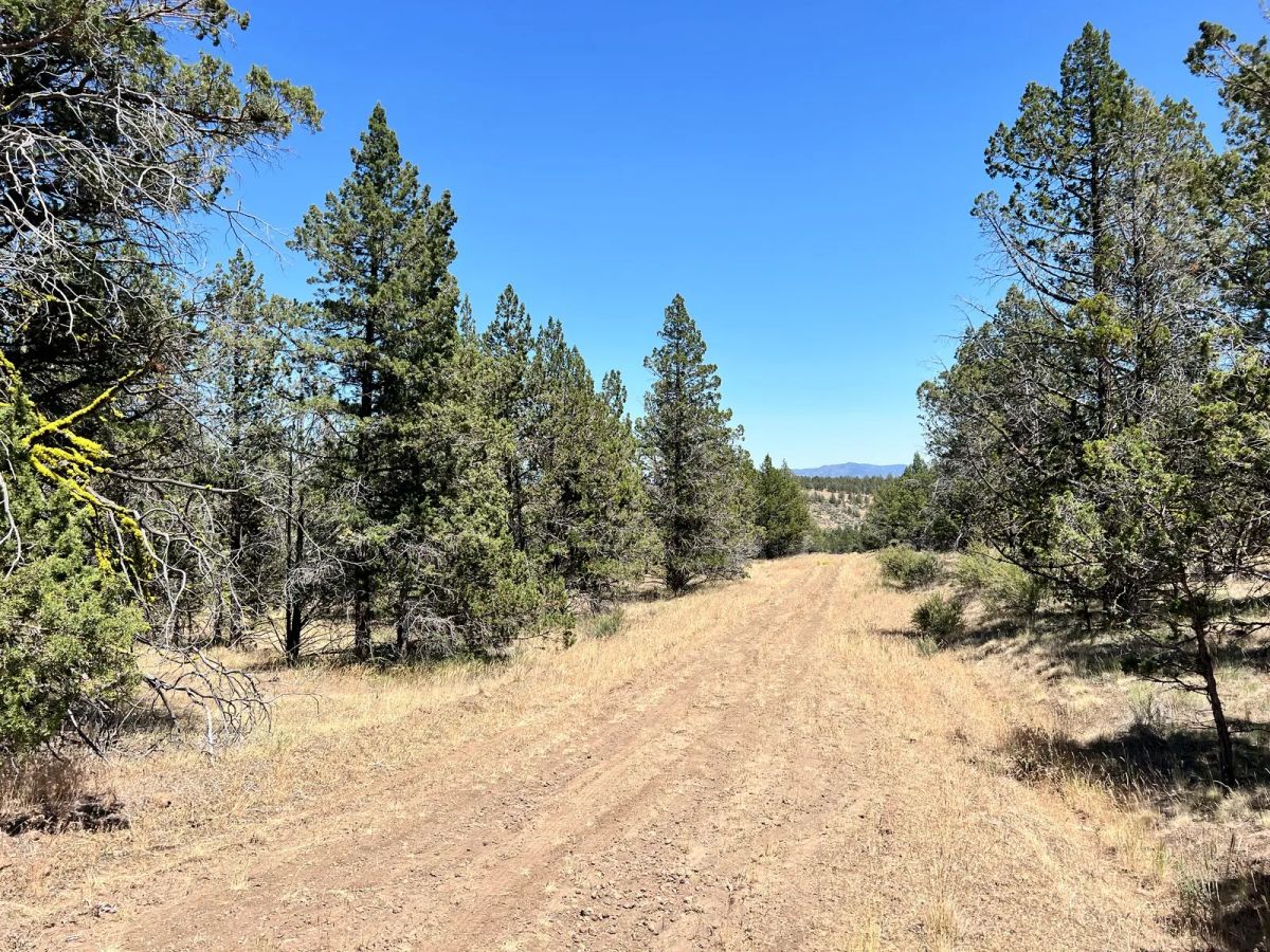 Secluded, Mostly Level - Image 2