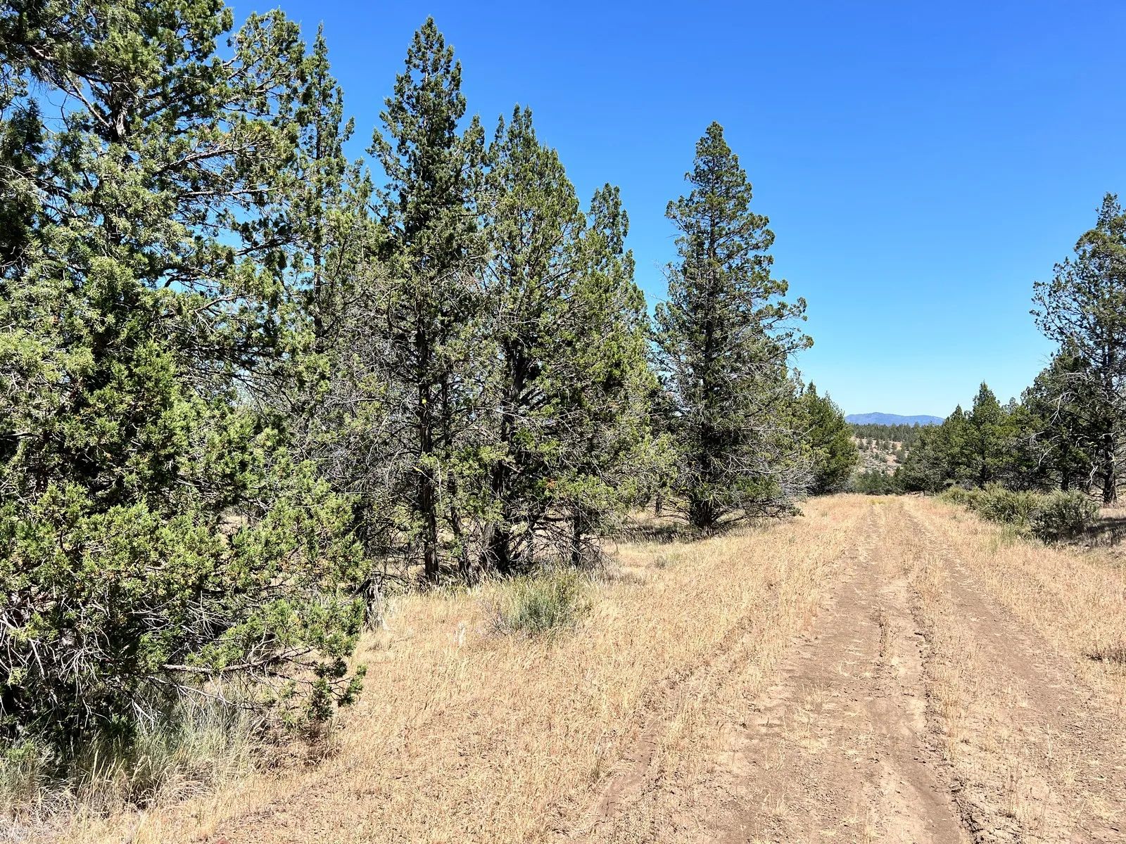 Secluded, Mostly Level in Modoc County, CA