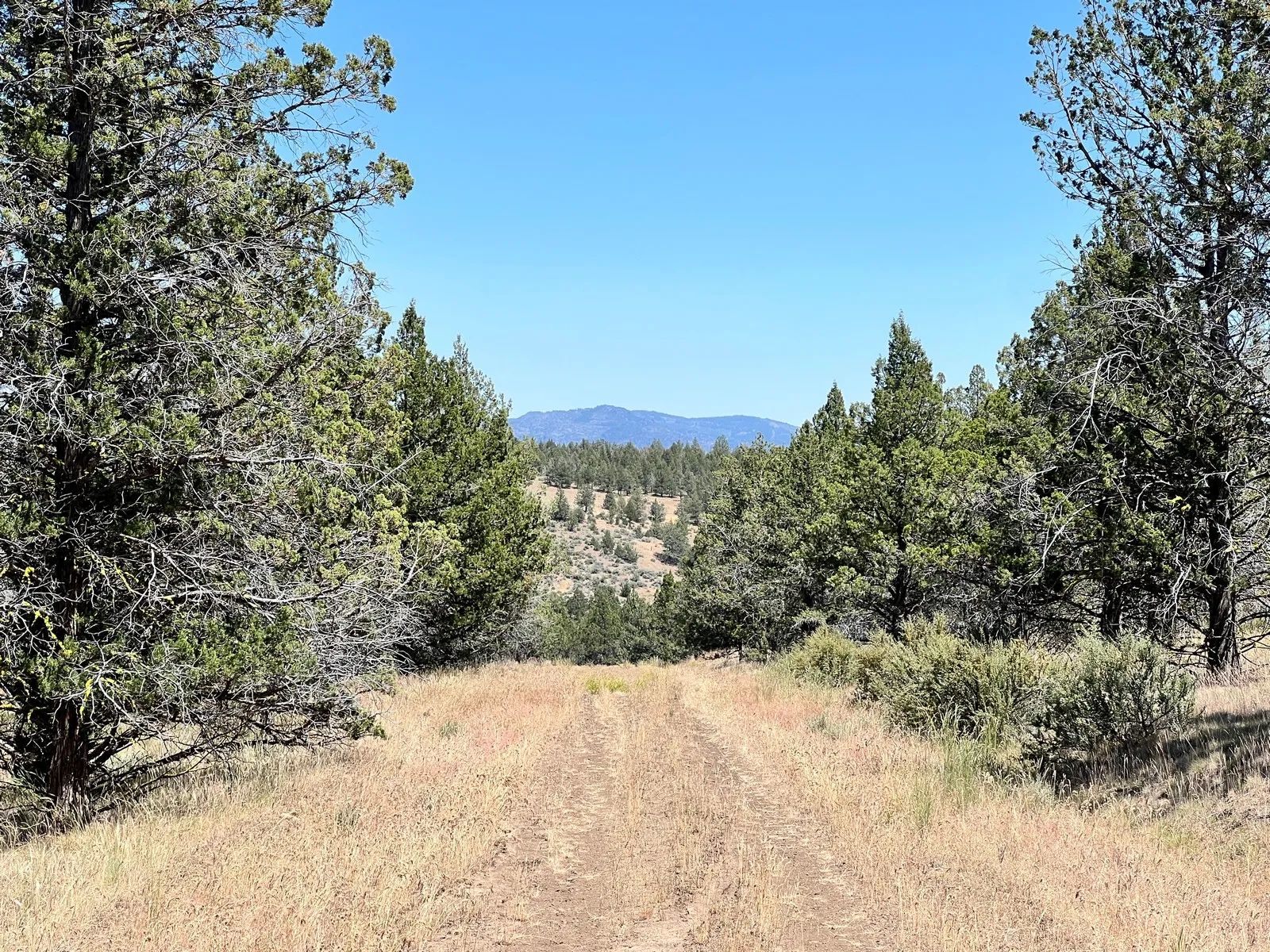 Secluded, Mostly Level in Modoc County, CA