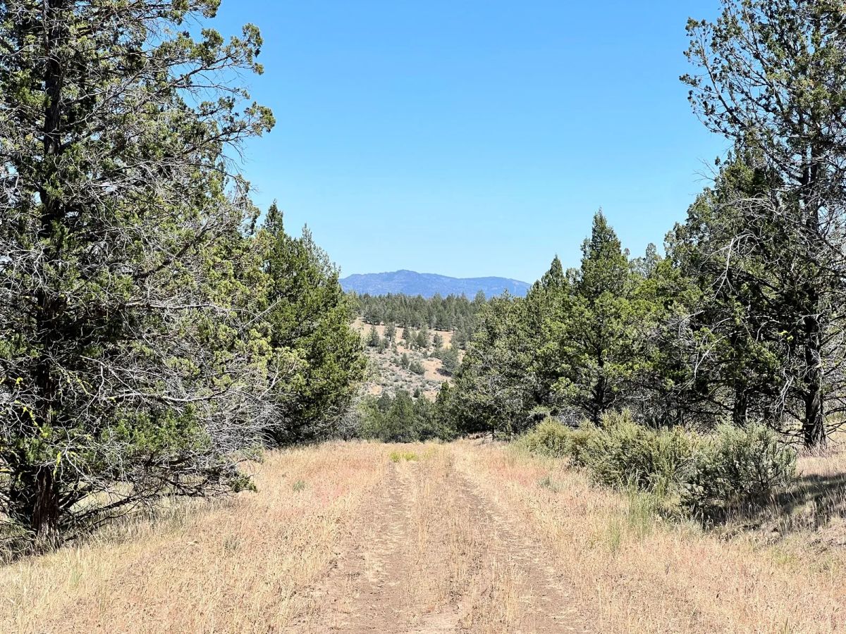 Secluded, Mostly Level - Image 4