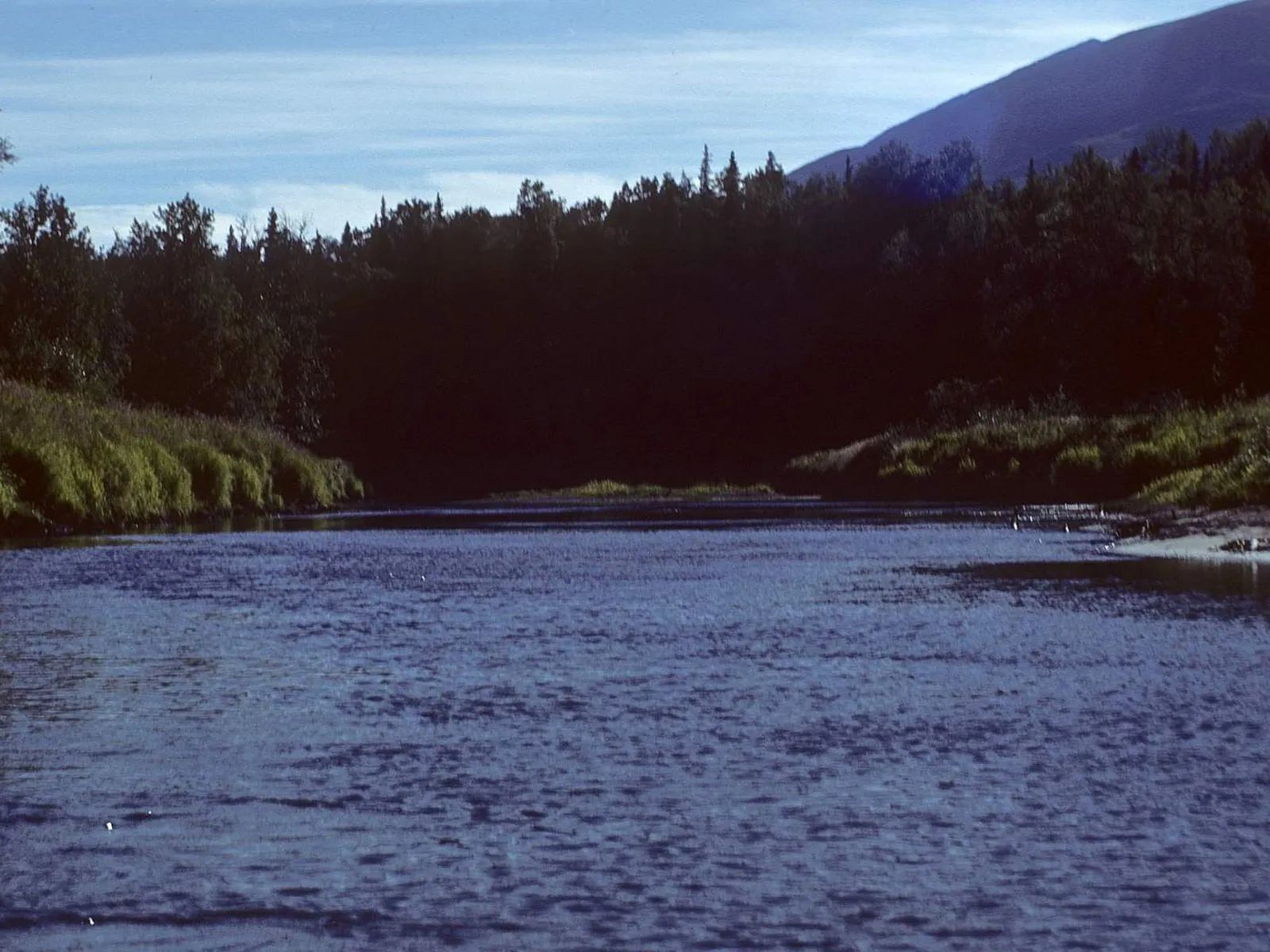 Near Wien Lake in Fairbanks North Star County, AK