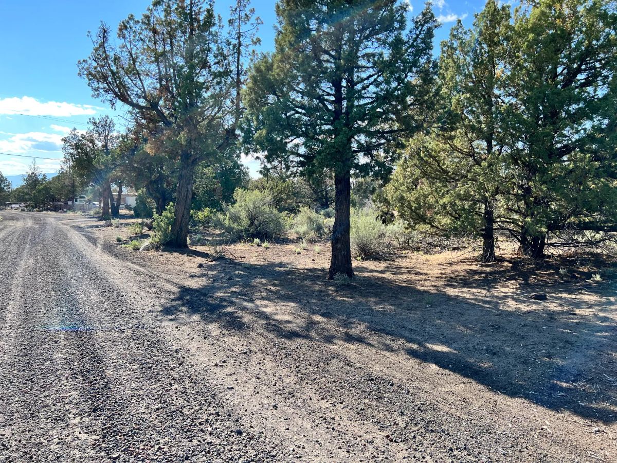 Corner Lot, Power at the Street, Great Homestead Area - Main image