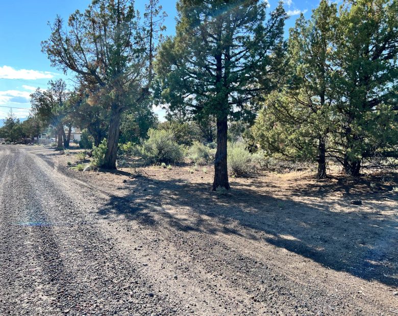 Corner Lot, Power at the Street, Great Homestead Area in Siskiyou County, CA