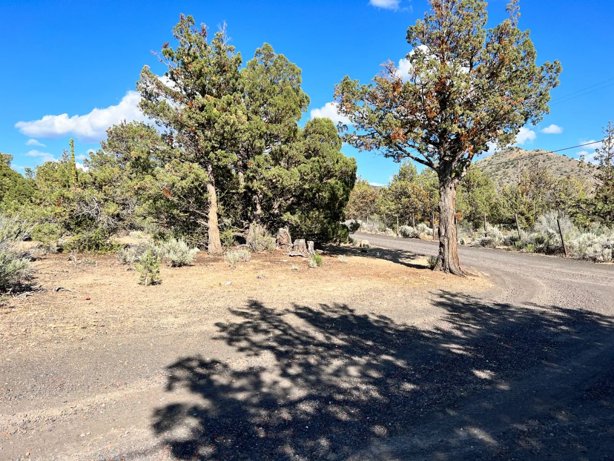 Corner Lot, Power at the Street, Great Homestead Area - Image 4