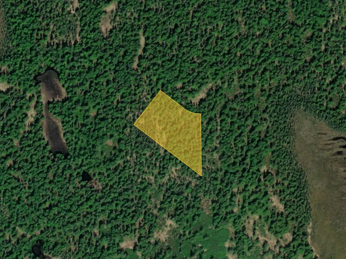 Near Alexander Creek in Great AK Outdoors - Main image