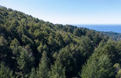 Solid Tree Cover, Great Elevation for Views
