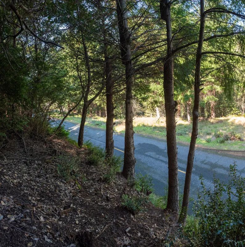 Solid Tree Cover, Great Elevation for Views in Humboldt County, CA