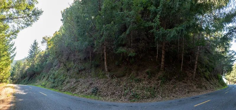 Solid Tree Cover, Great Elevation for Views in Humboldt County, CA