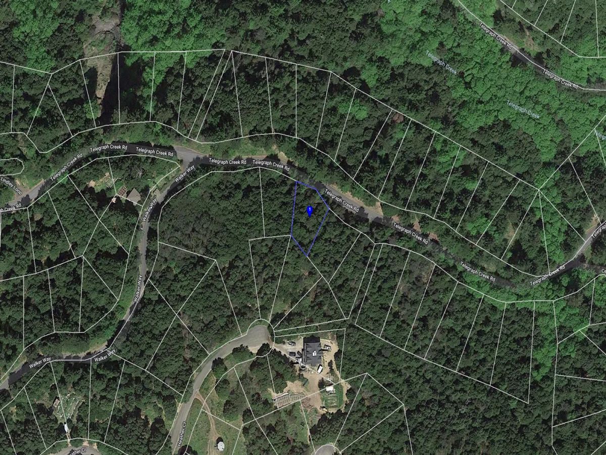 Decorative background for Solid Tree Cover, Great Elevation for Views image 18
