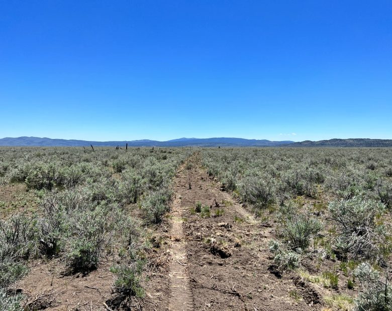 20 Acres, Great Views, Secluded Area in Lassen County, CA