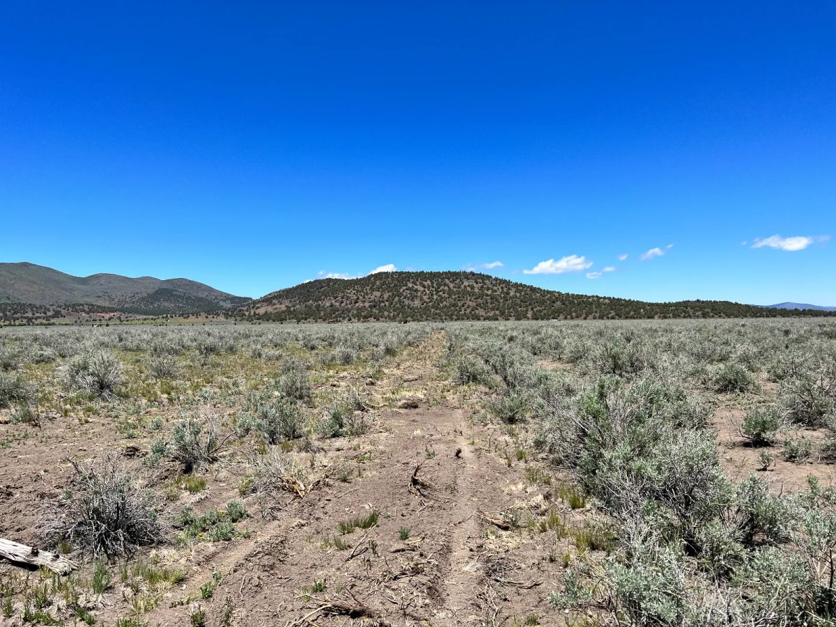 20 Acres, Great Views, Secluded Area - Image 2