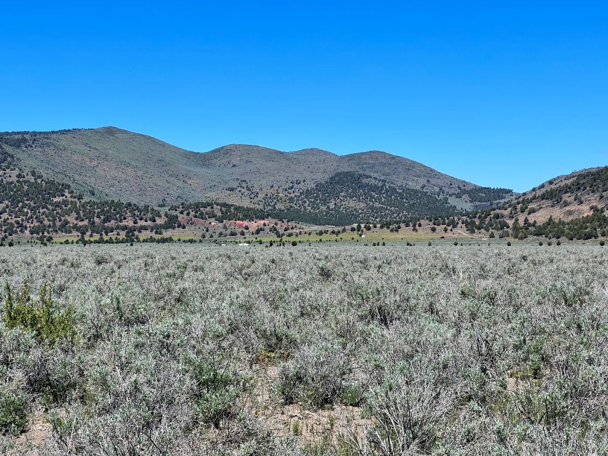 20 Acres, Great Views, Secluded Area - Image 3