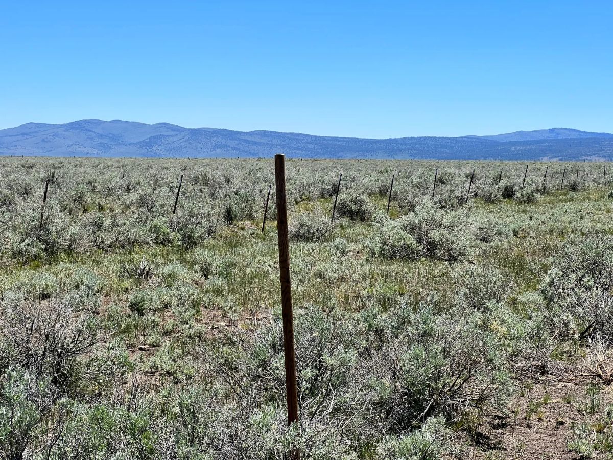 20 Acres, Great Views, Secluded Area - Image 4