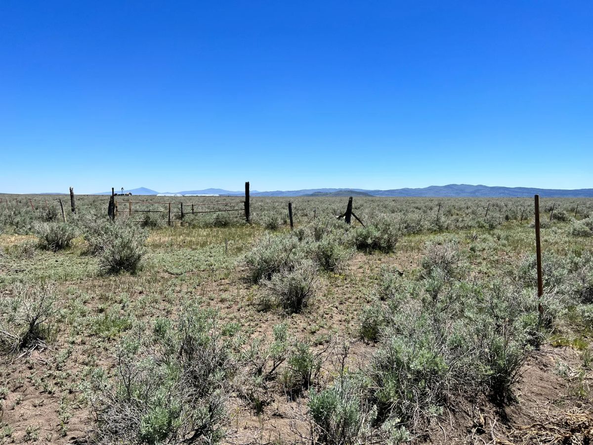 Decorative background for 20 Acres, Great Views, Secluded Area image 5