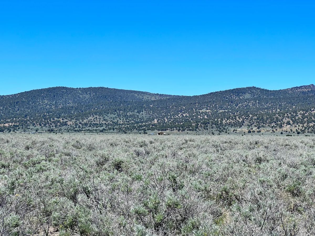Decorative background for 20 Acres, Great Views, Secluded Area image 6