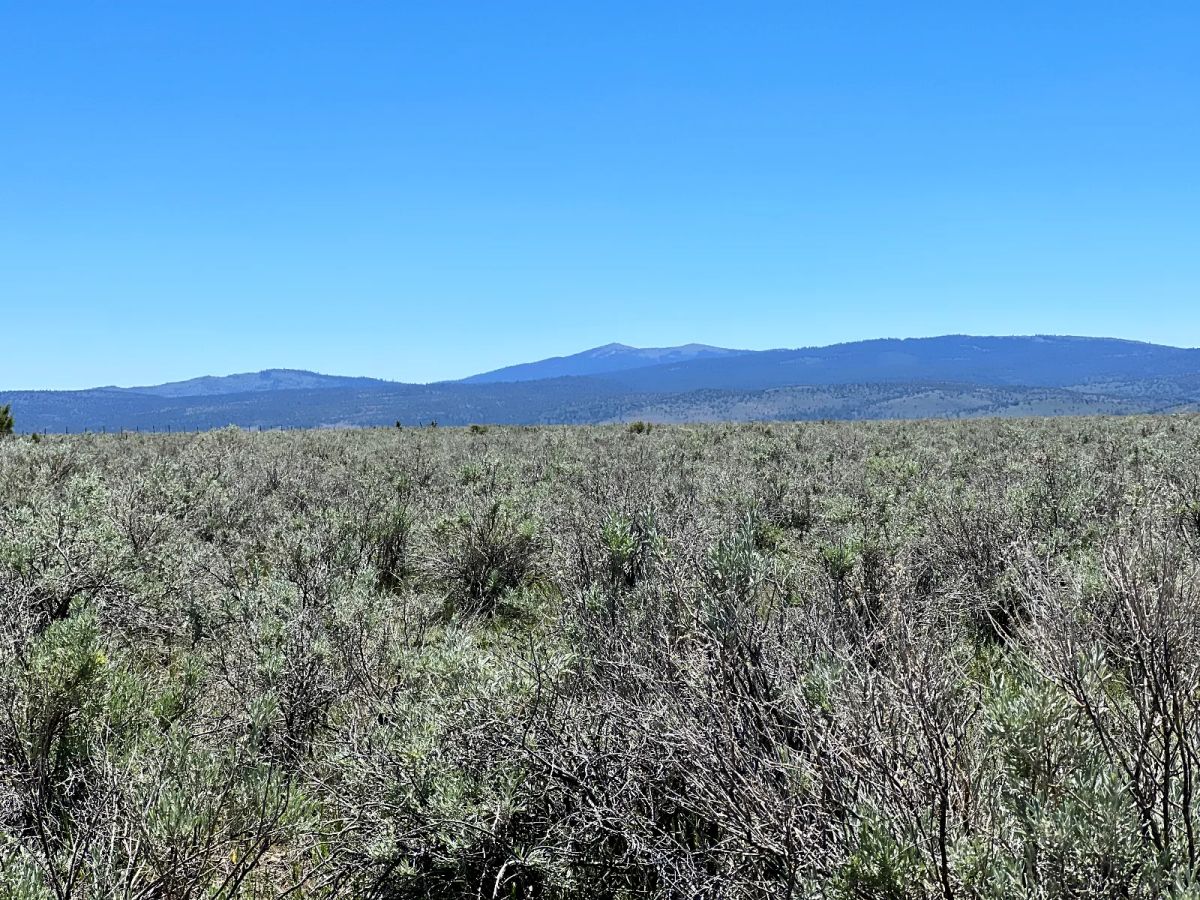 Decorative background for 20 Acres, Great Views, Secluded Area image 7