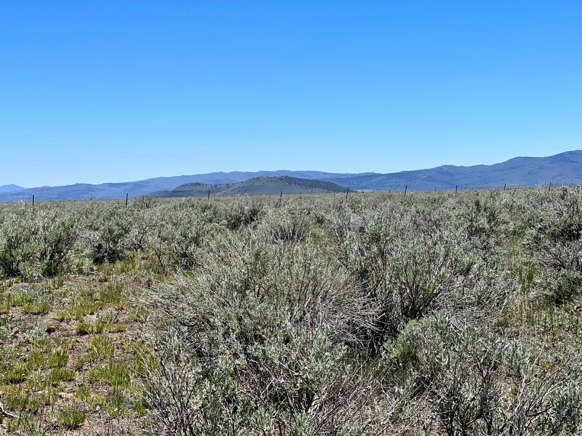 Decorative background for 20 Acres, Great Views, Secluded Area image 8