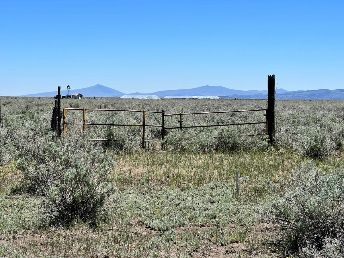 Decorative background for 20 Acres, Great Views, Secluded Area image 9
