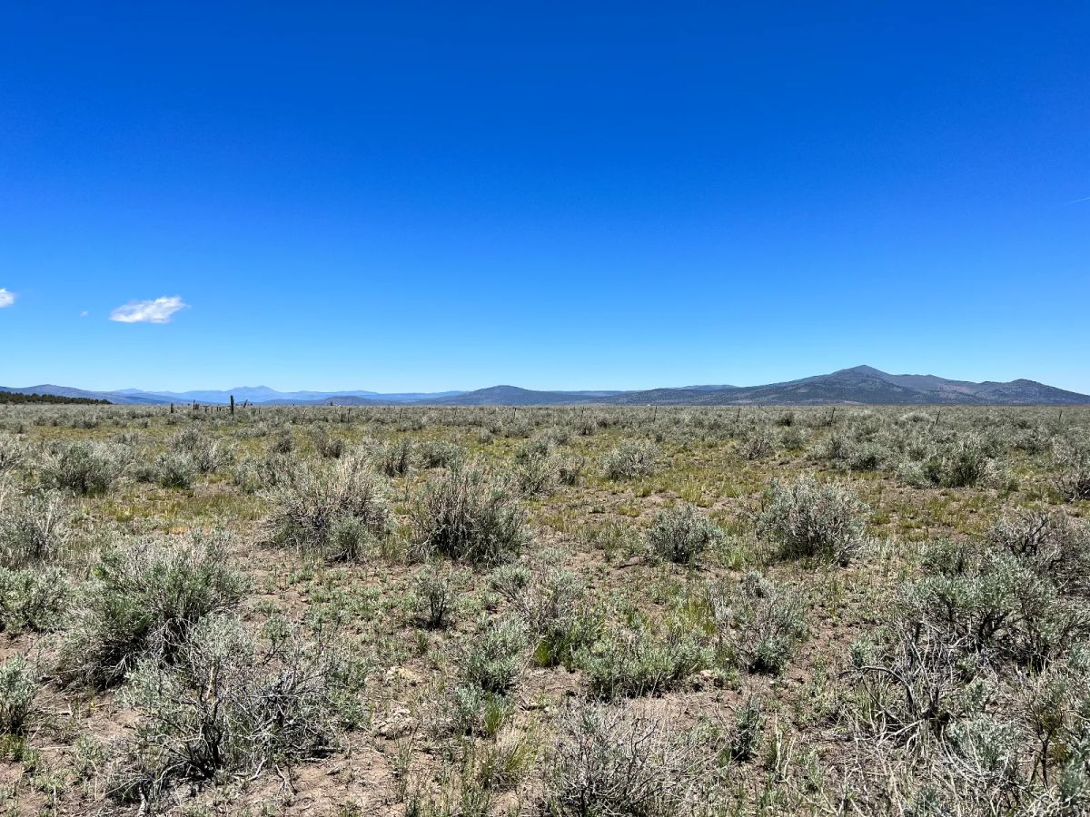 Decorative background for 20 Acres, Great Views, Secluded Area image 10
