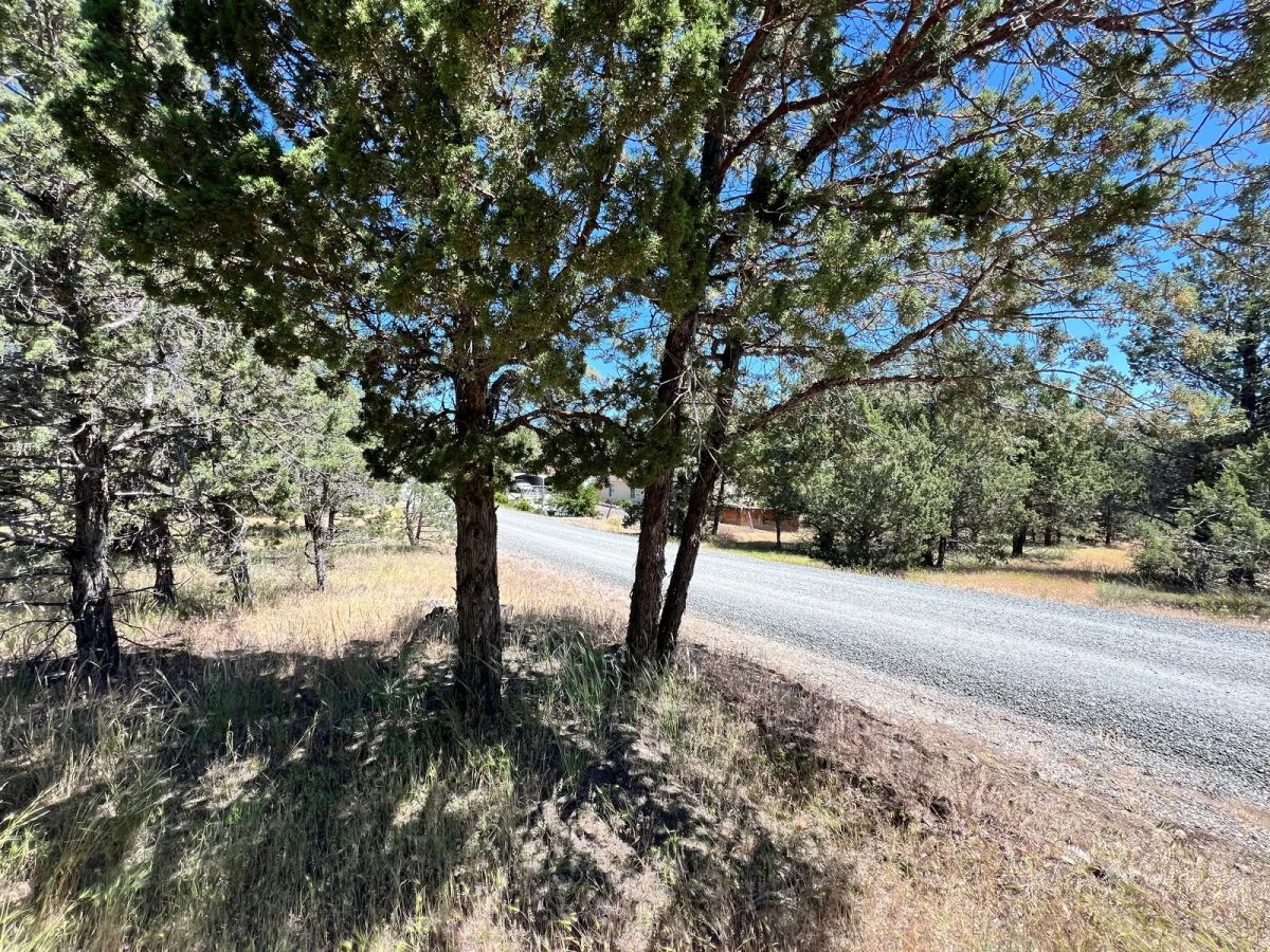 Decorative background for Power in the Area, Smooth Gravel Road Access image 5