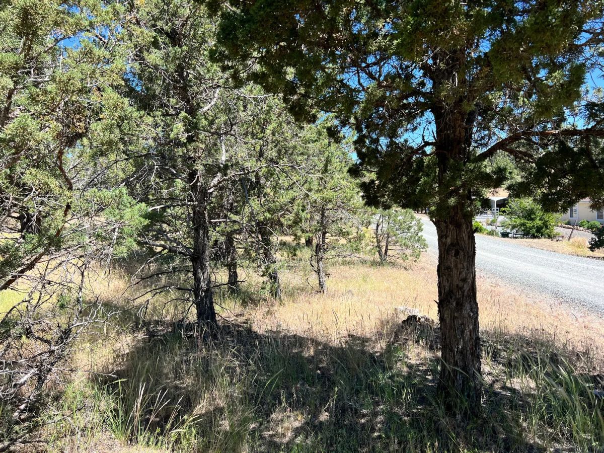 Decorative background for Power in the Area, Smooth Gravel Road Access image 6