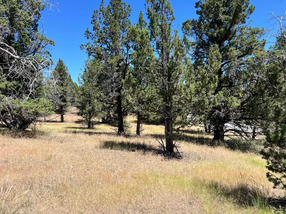 Decorative background for Power in the Area, Smooth Gravel Road Access image 8