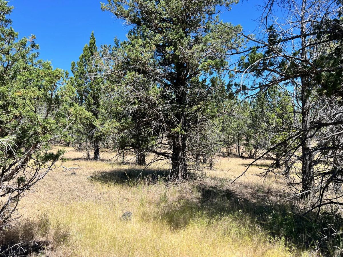 Decorative background for Power in the Area, Smooth Gravel Road Access image 9