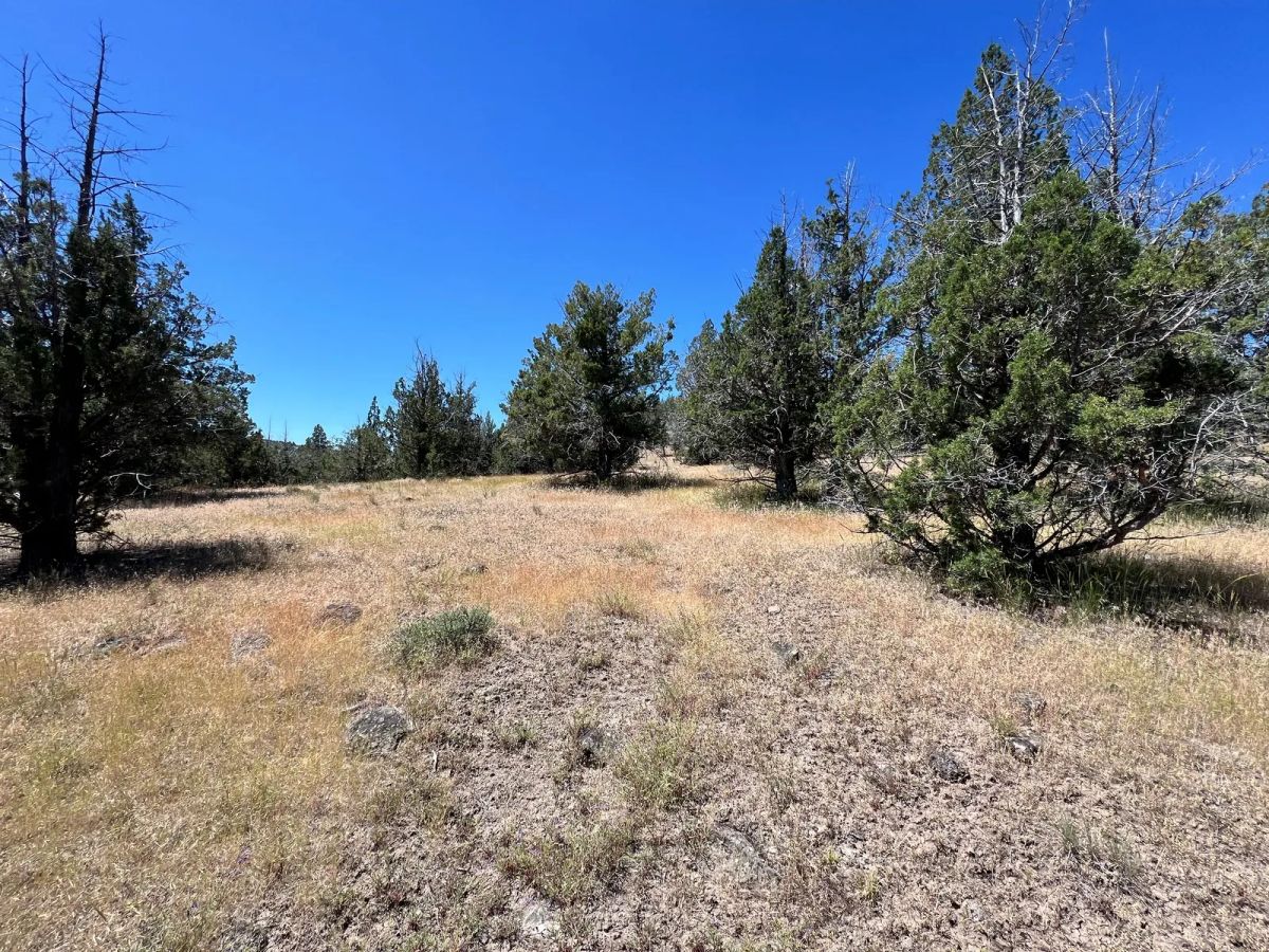 Decorative background for Power in the Area, Smooth Gravel Road Access image 11