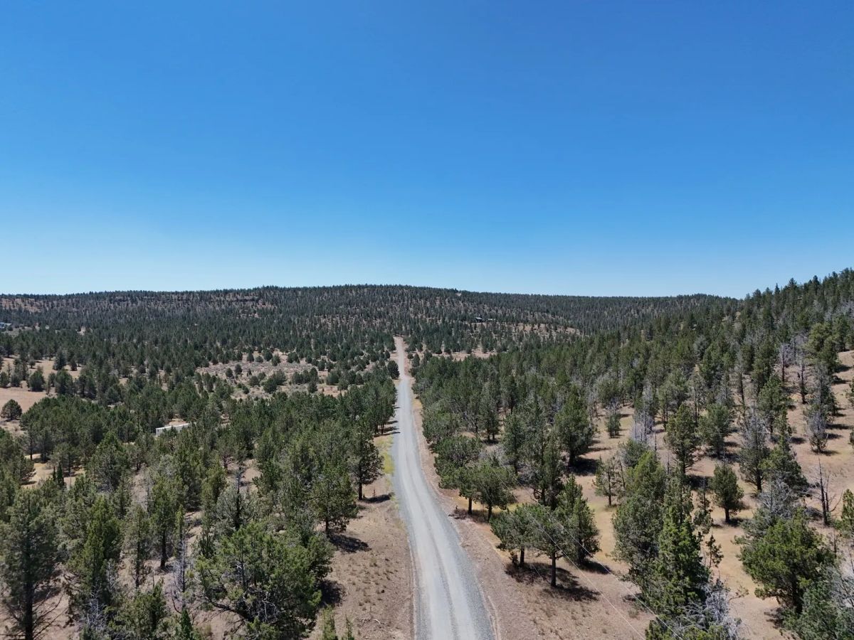 Decorative background for Power in the Area, Smooth Gravel Road Access image 12