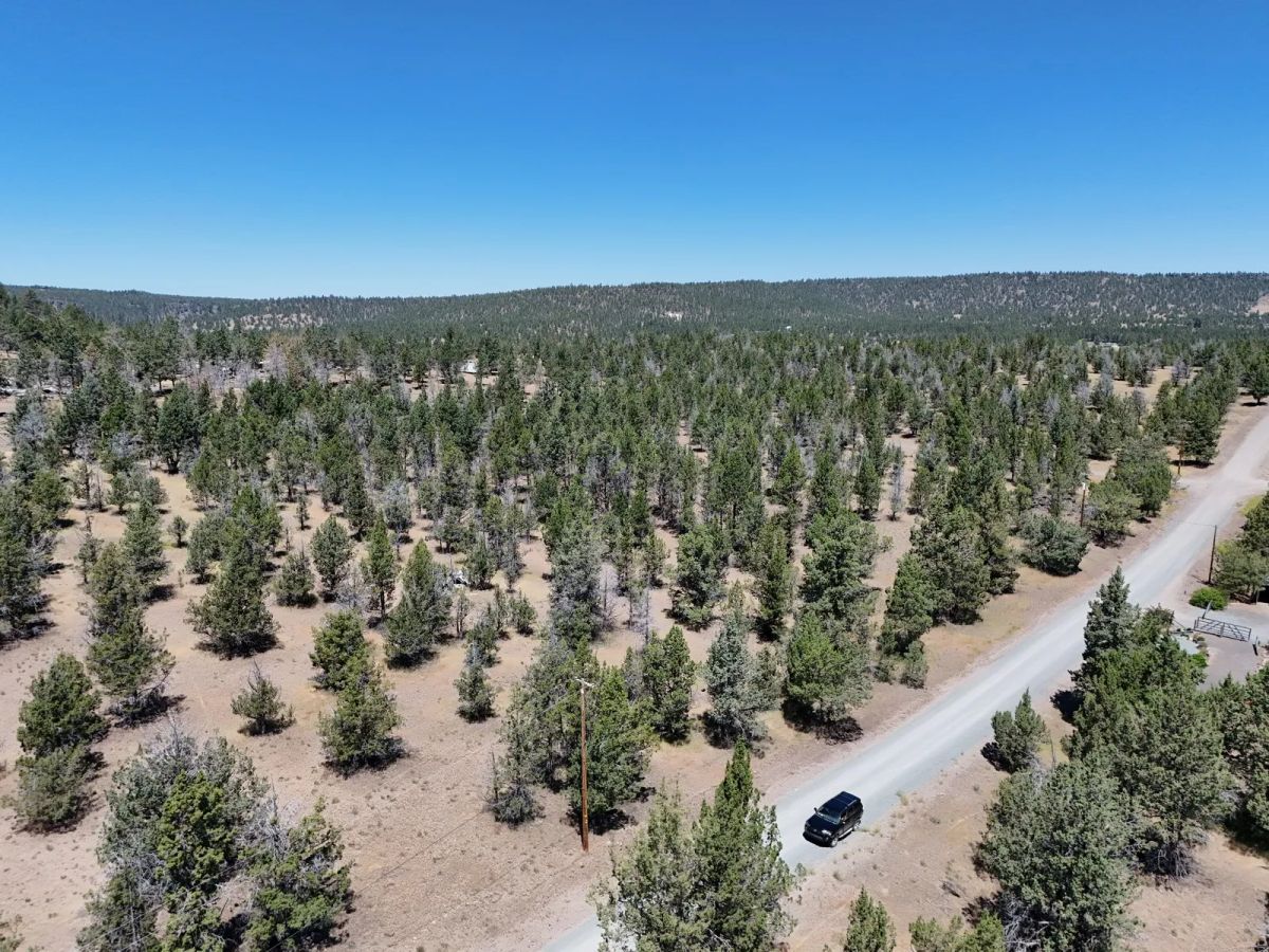 Decorative background for Power in the Area, Smooth Gravel Road Access image 13