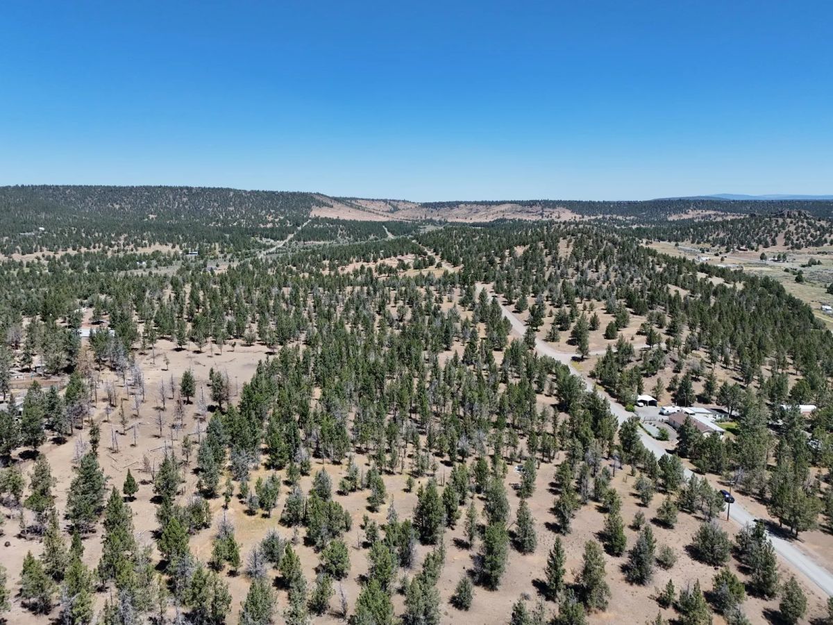 Decorative background for Power in the Area, Smooth Gravel Road Access image 15
