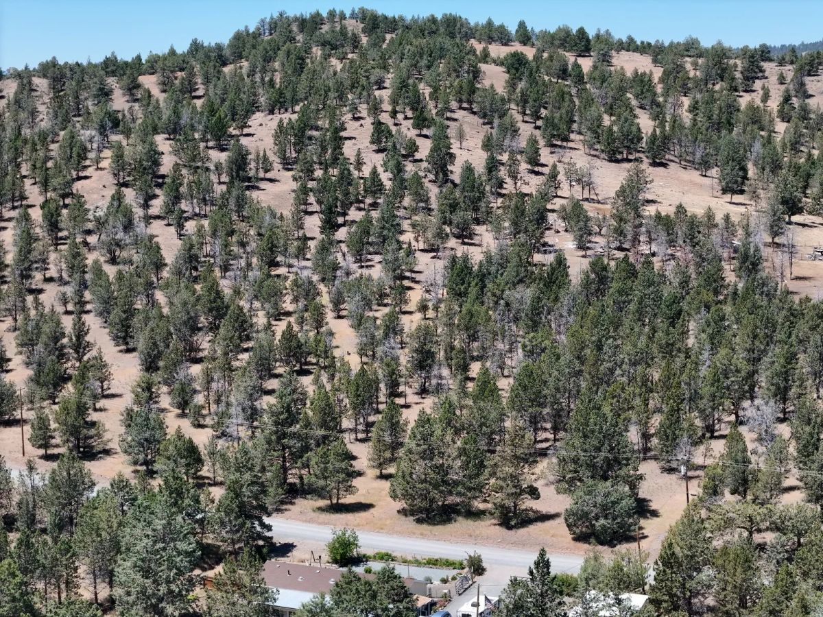 Decorative background for Power in the Area, Smooth Gravel Road Access image 21