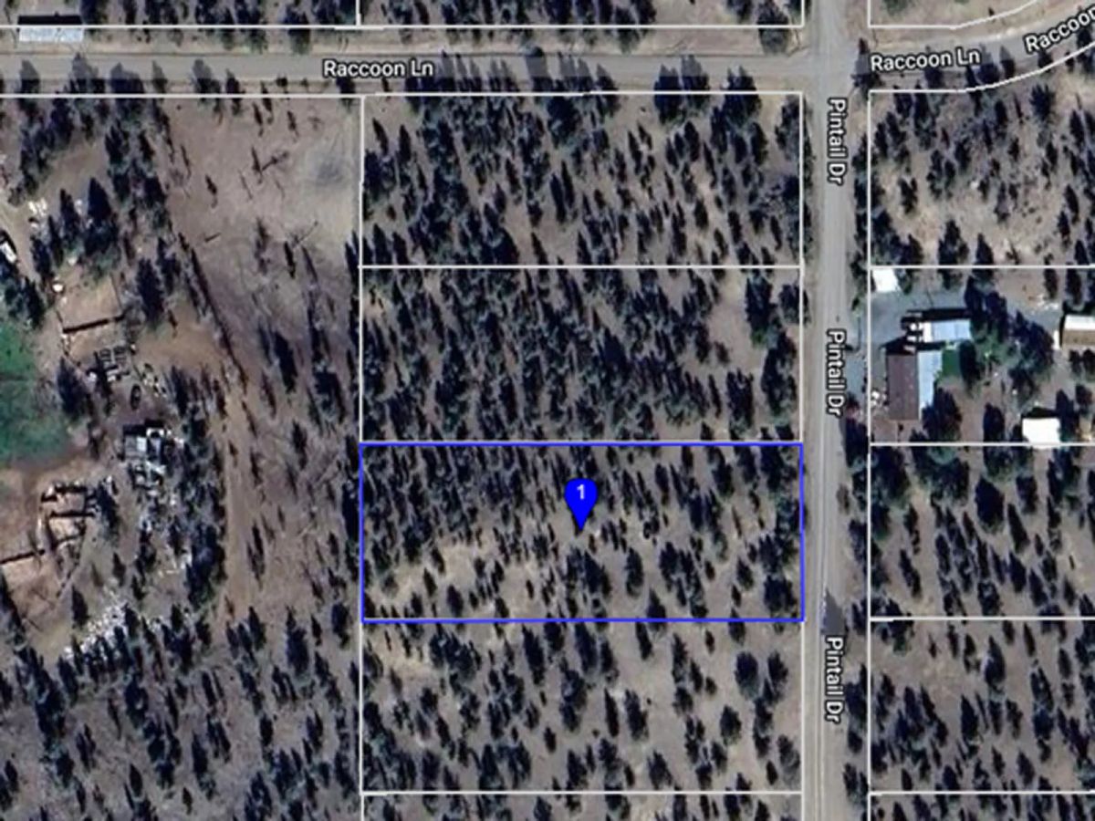 Decorative background for Power in the Area, Smooth Gravel Road Access image 24
