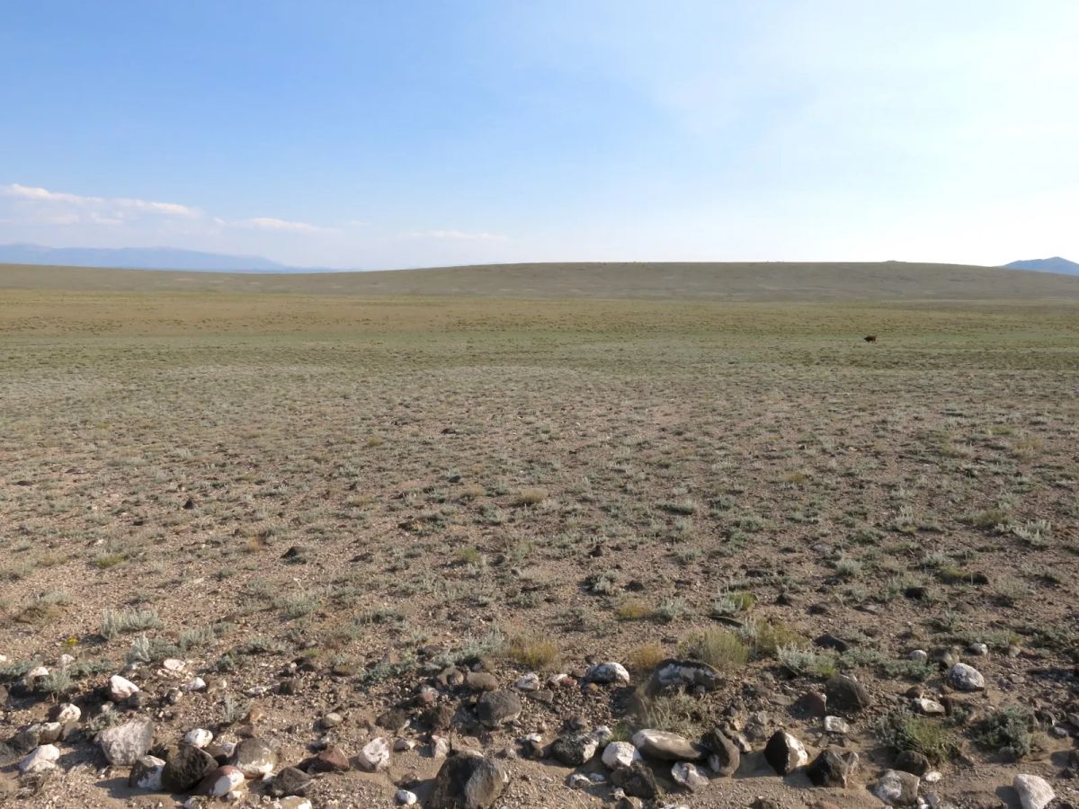 Decorative background for Great Location for Outdoor Recreation image 7