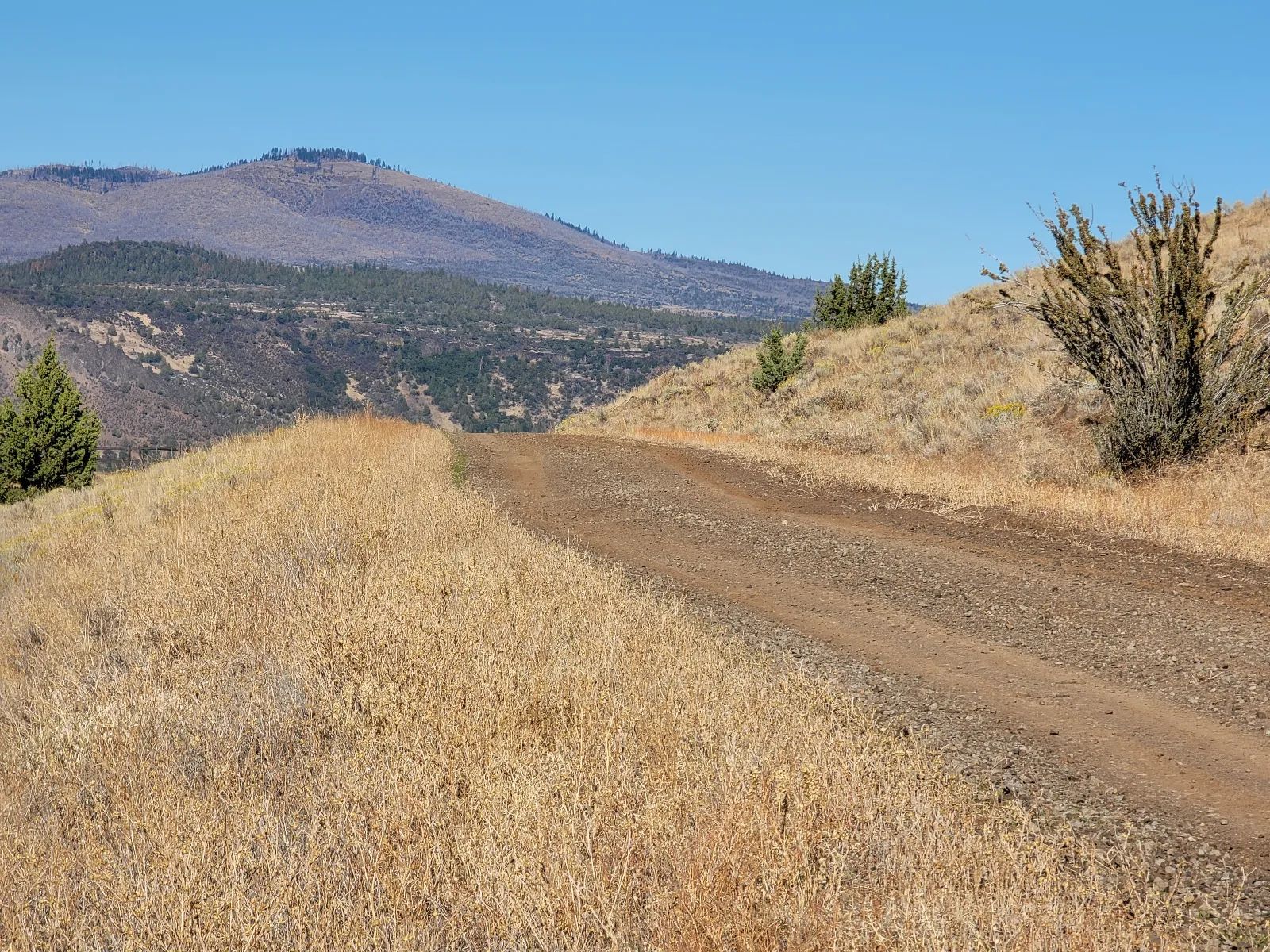 Near Iron Gate Reservoir in Siskiyou County, CA