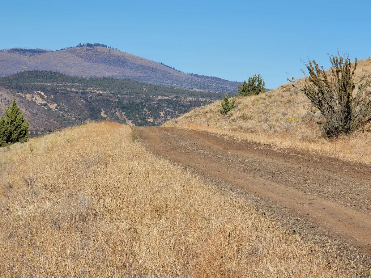 Near Iron Gate Reservoir - Image 4