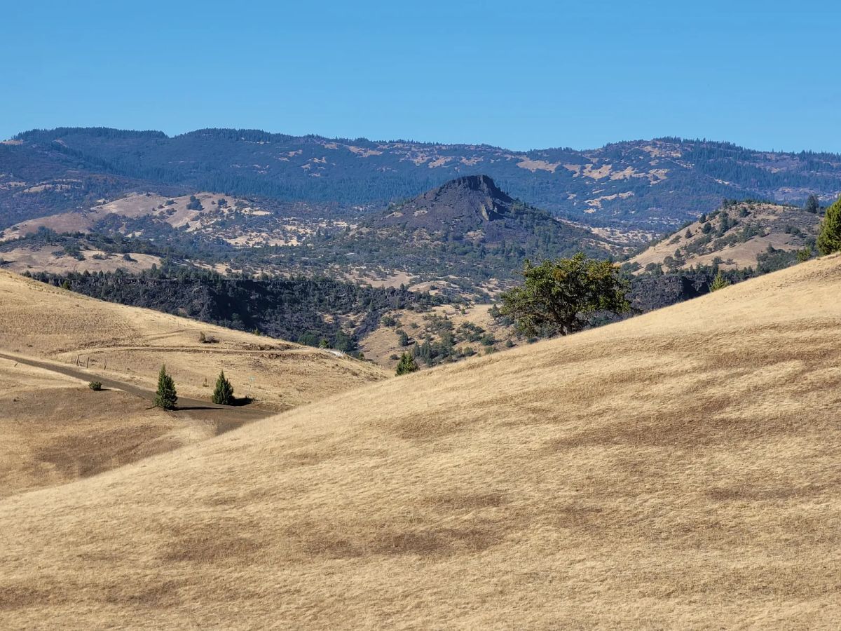 Decorative background for Near Iron Gate Reservoir image 7