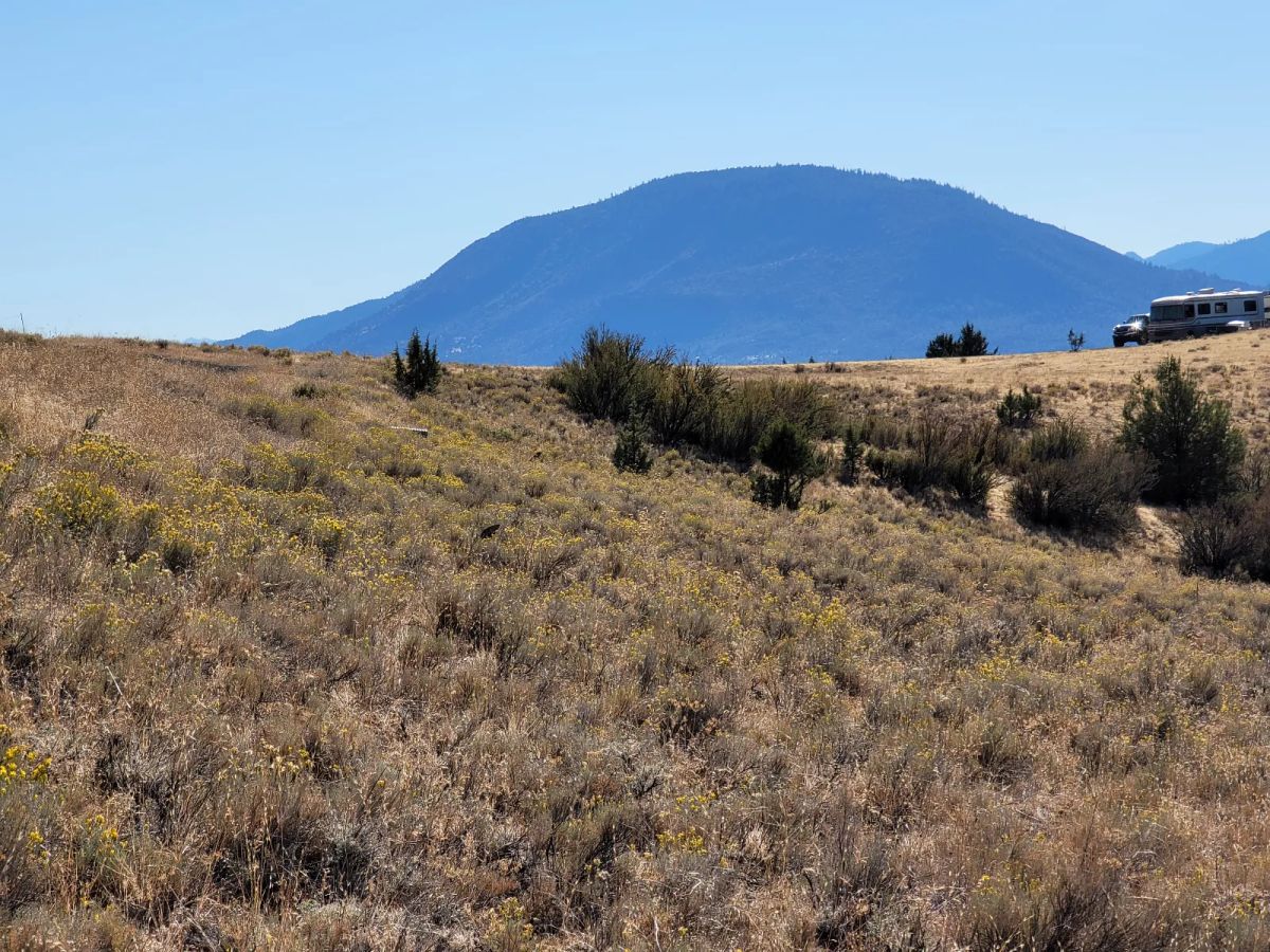 Decorative background for Near Iron Gate Reservoir image 8
