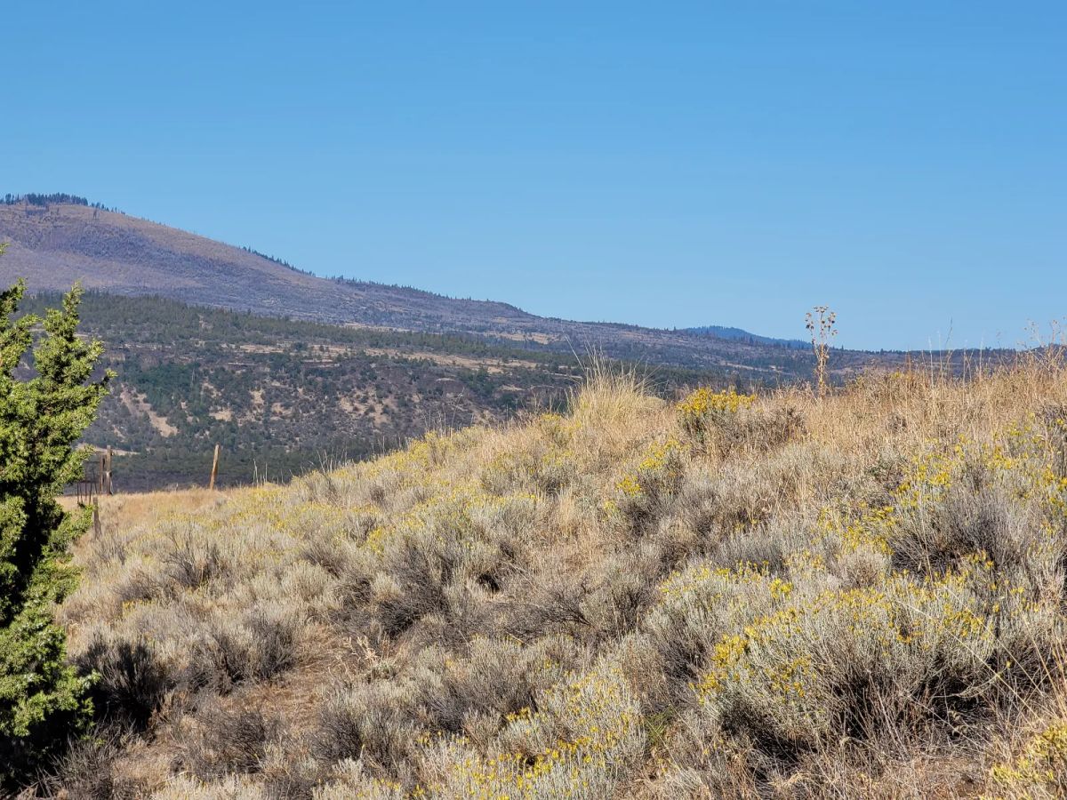 Decorative background for Near Iron Gate Reservoir image 9